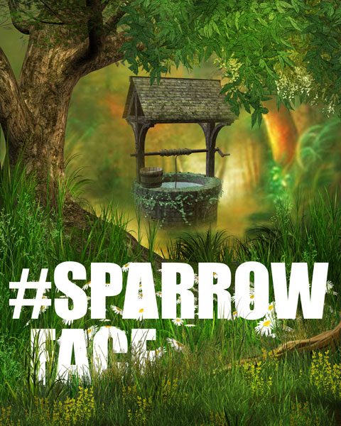 Sparrow Face (Digital C-type 10 x 8in/ 16 x 20in) 2016