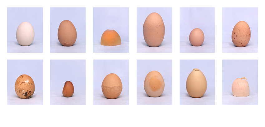 A Dozen Rejected Eggs